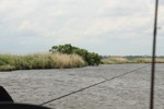 resIMG_20150524_152924_4528.JPG